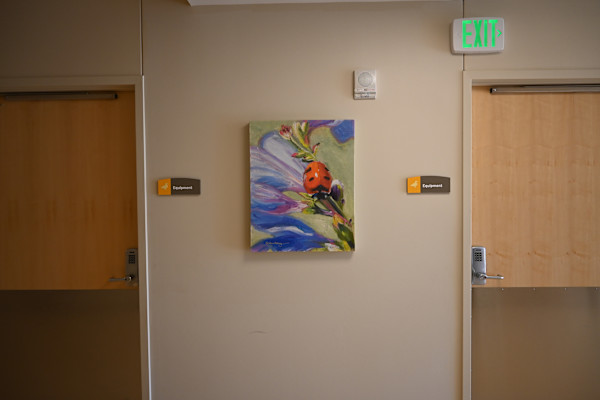 Unknown, Image 1.