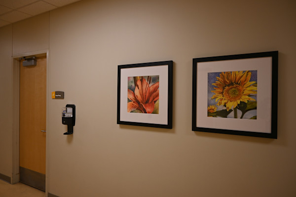 Untitled, Image 1.