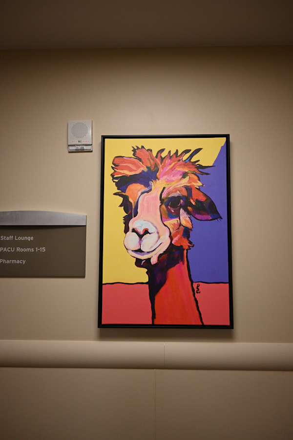 Unknown, Image 1.