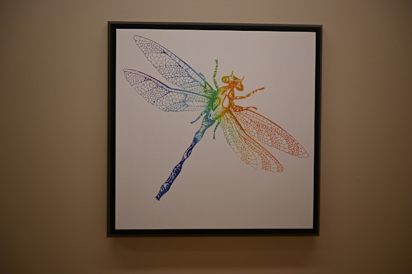 Unknown, Image 1.