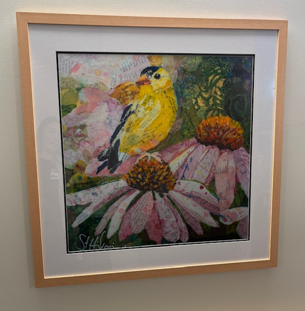 Finch on Coneflowers