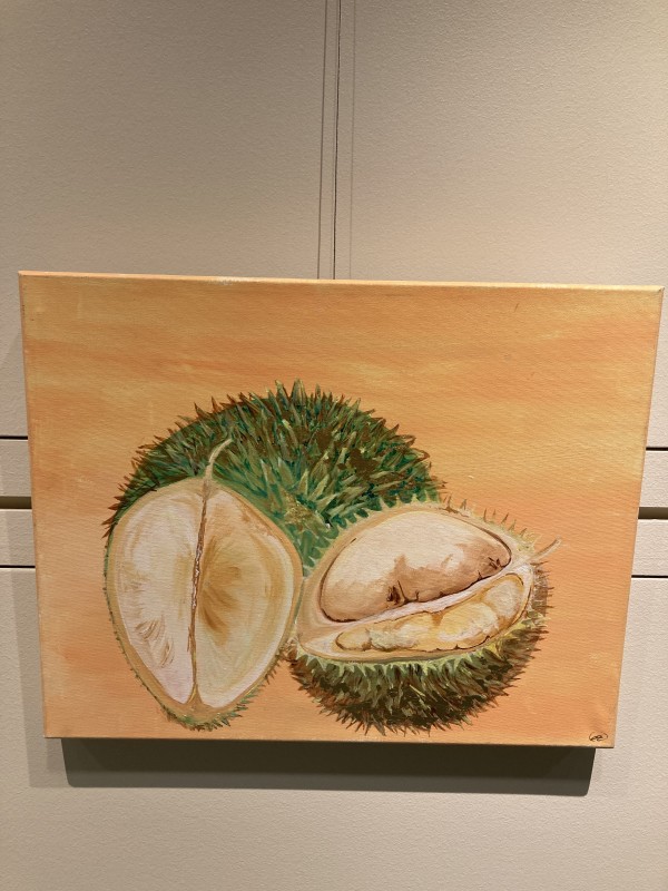 Durian Fruit by Erica Richard