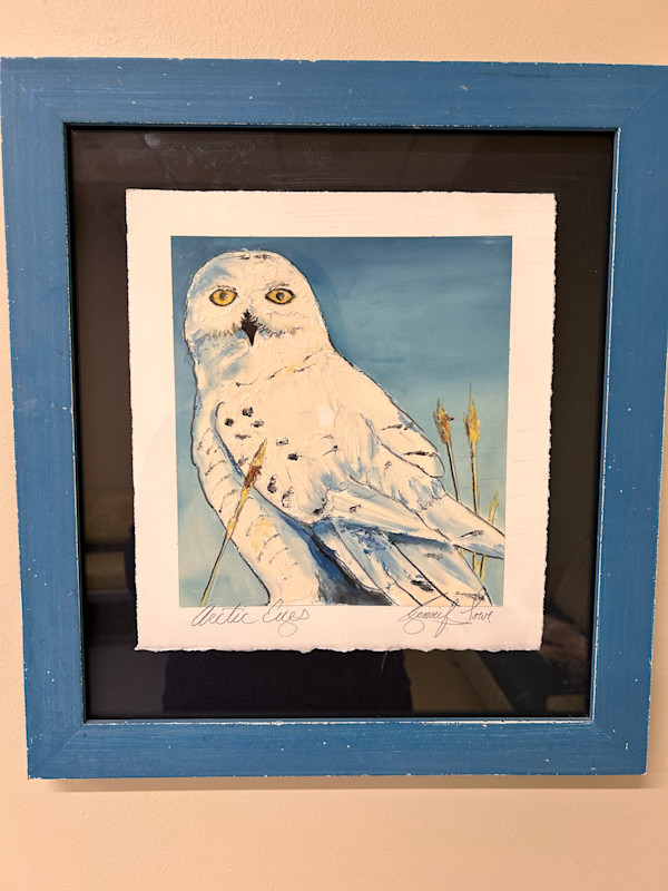 Artic Eyes by Jenny Lowe