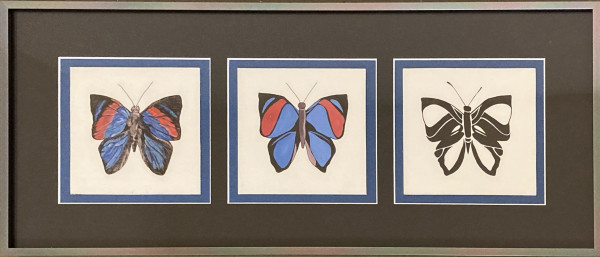 Butterflies by Audrey Jackson