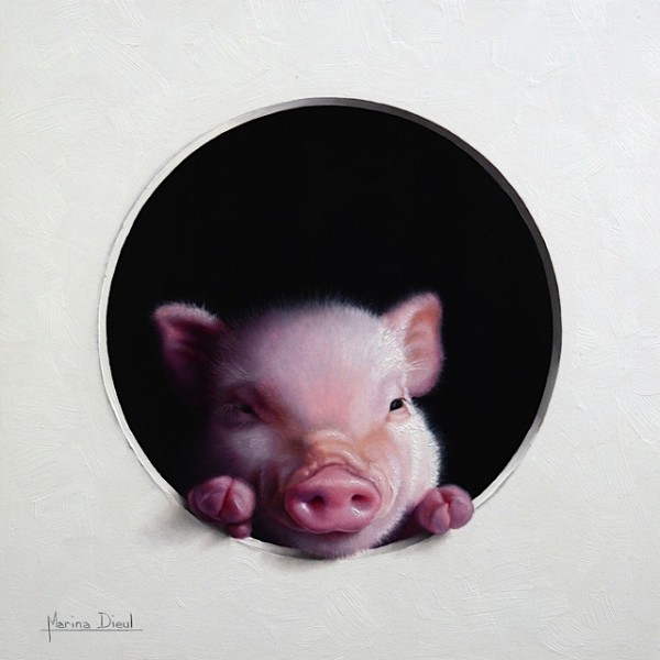 Cochon #8 by Marina Dieul