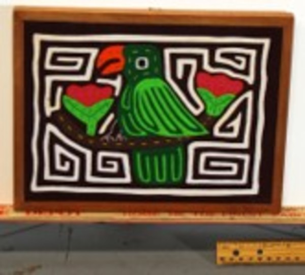 Parrot Mola, Image 1.