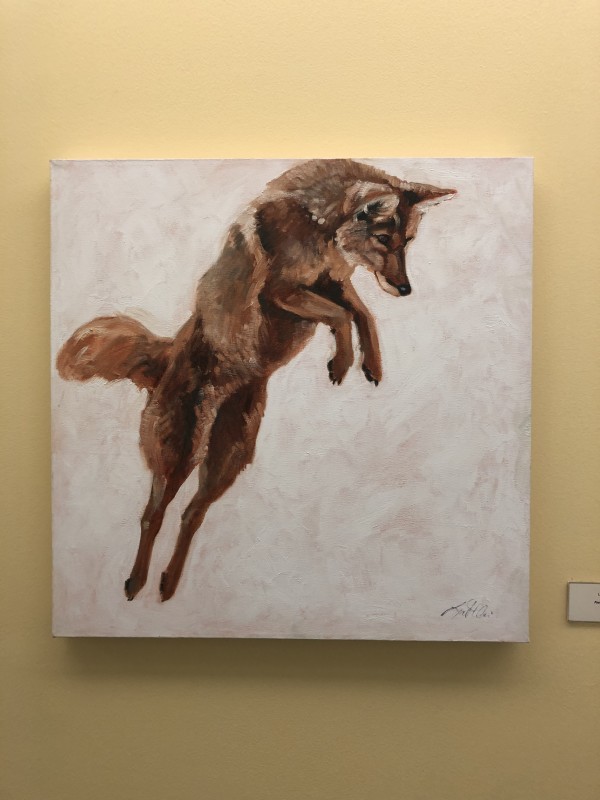 Pounce! 1 (Coyote) by Linda St. Clair