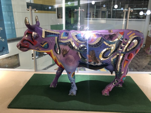 COLORado Cow by Juli Schrader