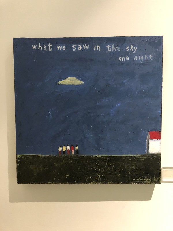 What We Saw in the Sky by Mary Scrimgeour