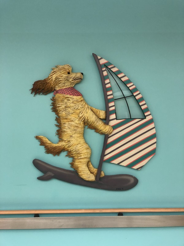 Sailboarding Dog by DD LaRue 