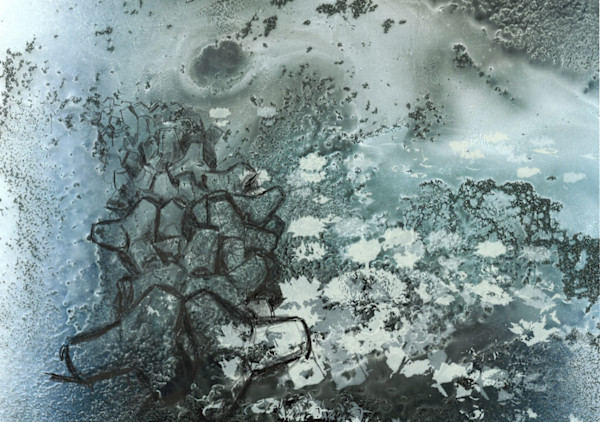 Refuge by Fawn Atencio, Catherine Chauvin, Image 1.