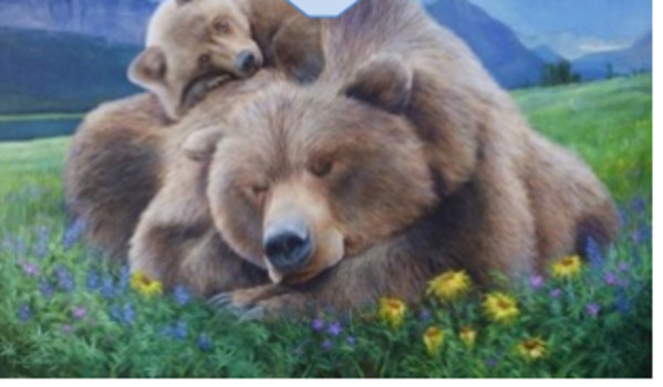 Snoozin And Blase by Unknown