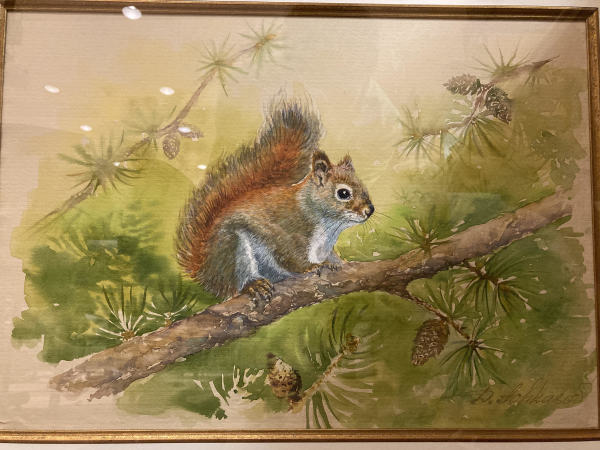 Squirrel (Sciuridae) by Demetrij Achkasov