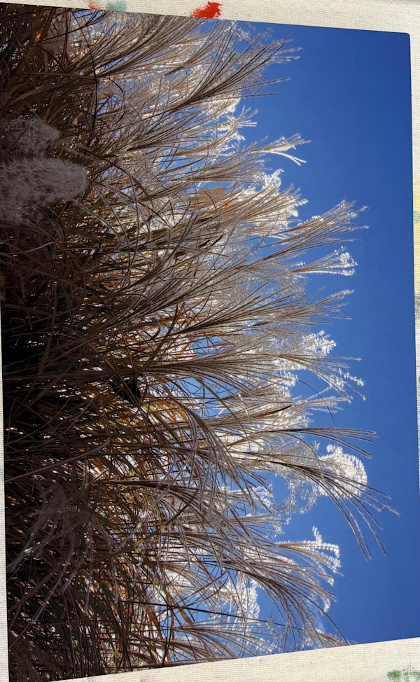 Untitled 2 by Dwight Ryland, Image 1.