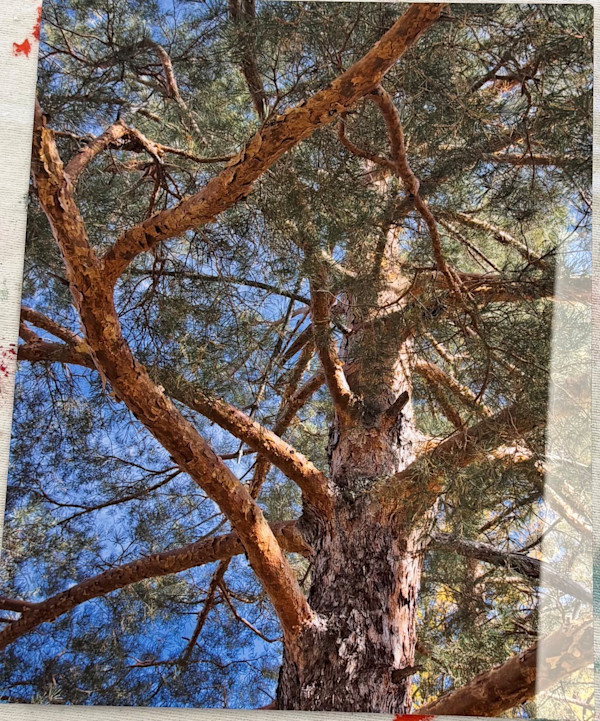 Untitled by Dwight Ryland, Image 1.