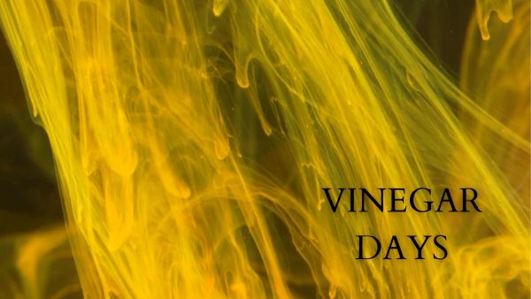 Vinegar Days by Tony Edelblute