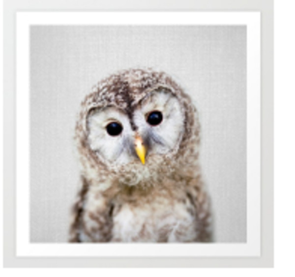 Owl - Baby Animals by Gal Design
