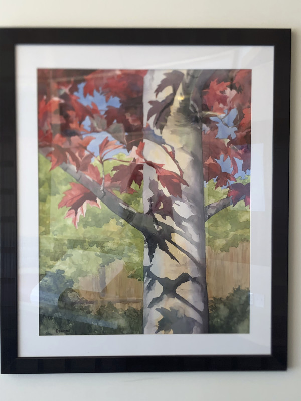 Maple Tree by Kathleen Lanzoni
