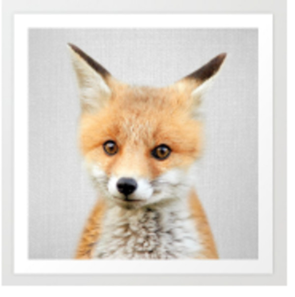 Fox - Baby Animals by Gal Design