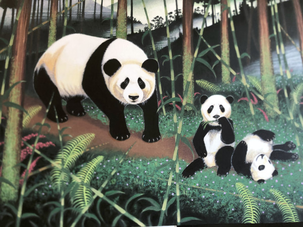 Cloudforest Pandas by Jock Bartley