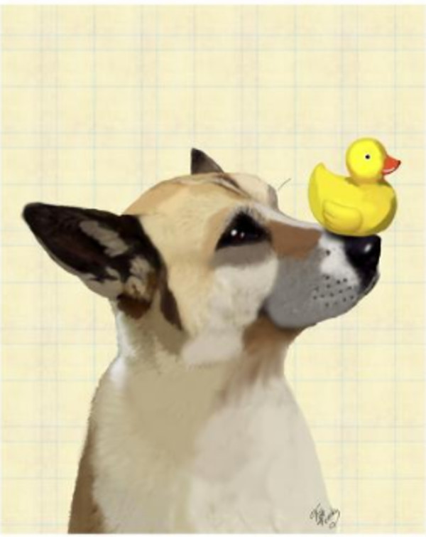 Dog and Duck by Fab Funky