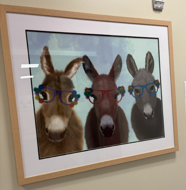 Donkey Trio Flower Glasses