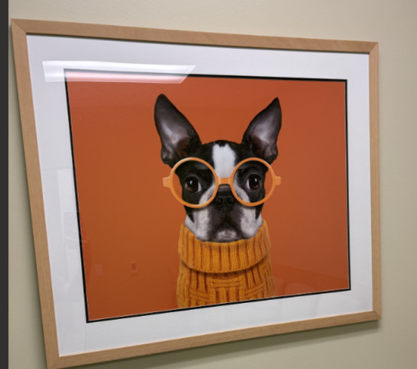 Funny dog with glasses II