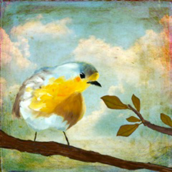 Little Bird IV by Angela Moulton