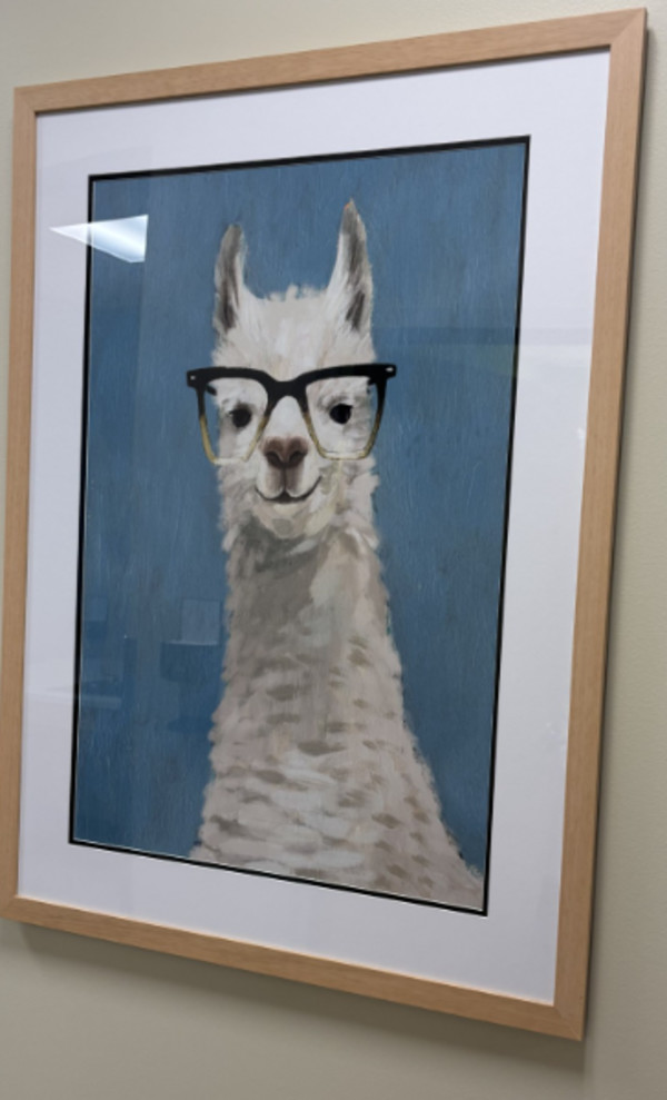 Llama Specs II