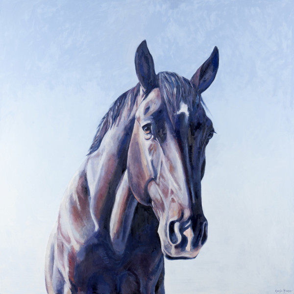 PETITION by Suzie Burgess