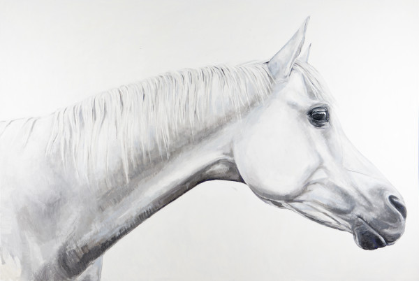 MYSTIC by Suzie Burgess