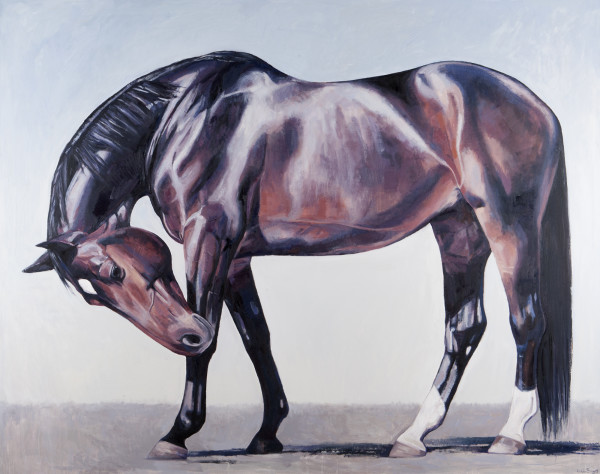 ILLUMINATION by Suzie Burgess