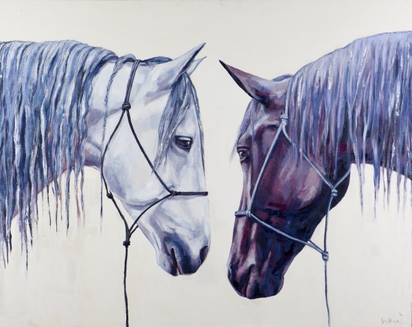 CURIOUS by Suzie Burgess