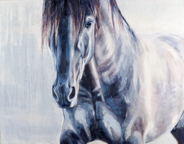 INTRIGUE by Suzie Burgess