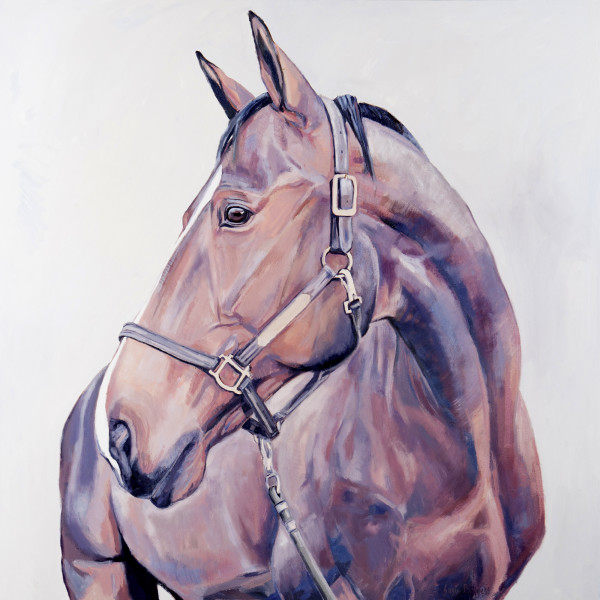 READY by Suzie Burgess