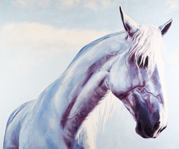 WONDER by Suzie Burgess