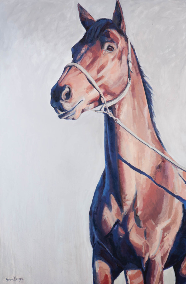 ALLY by Suzie Burgess