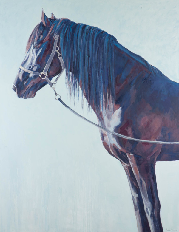 VIGIL by Suzie Burgess