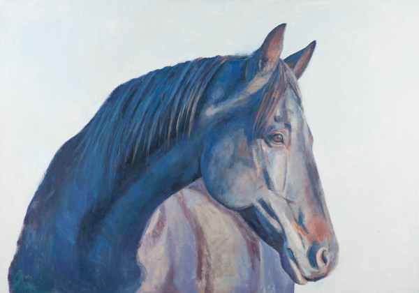 VALOR by Suzie Burgess