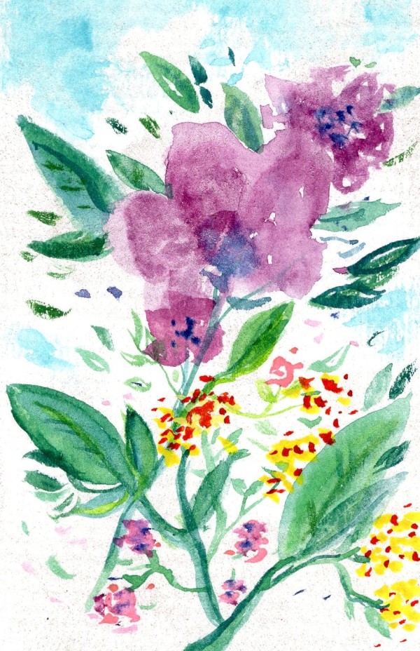 Summer Flowers by Jenny E. Dennis