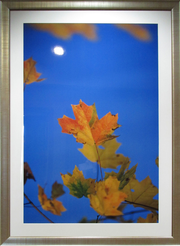 Fall Leaves (6)-blue by Byron Jororian