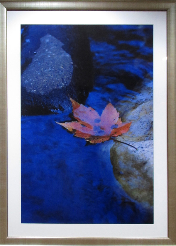 Fall Leaves (6) (water) by Byron Jororian