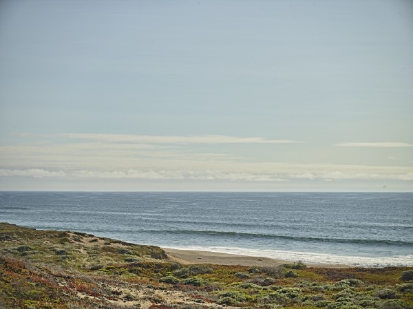 OCEAN BEACH by Tom Yglesias