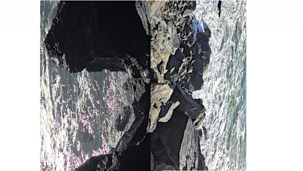 I SHALL SEE by Tom Richard