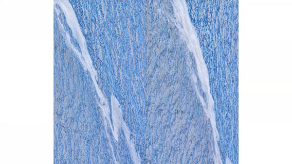 THE DAYS RESUME by Tom Richard