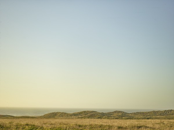 OCEAN AND SEA GRASS by Tom Yglesias