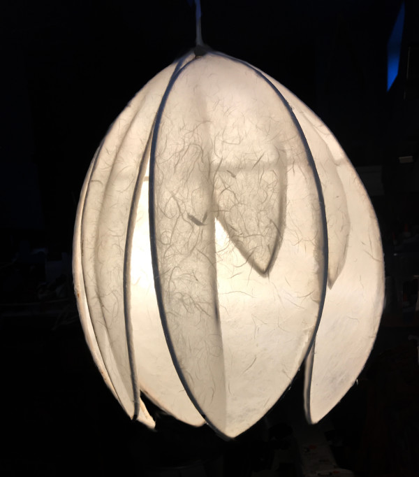 Hanging Tulip Light by Aleta L Boyce