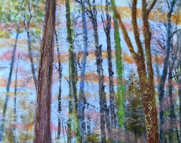 Bring Only Silence by Linda Robertson, Image 1.