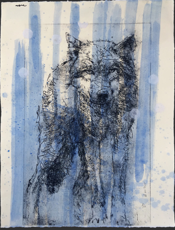 Home by Amanda Wilner, Image 1.