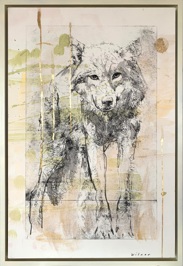 Delight by Amanda Wilner